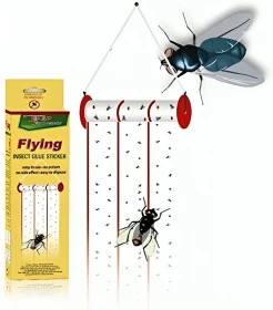 Flying Mosquito  Insect Sticky Trap