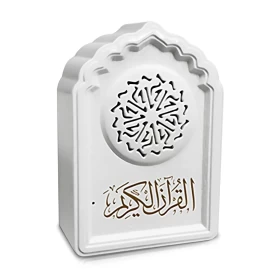 Wireless Bluetooth Quran Speaker 8GB FM