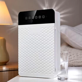Filter Air Purifier – Fresh, Clean Air for Every Space!