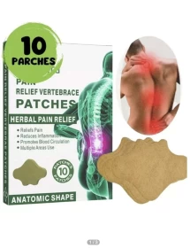 HYLLIS Pain Relieve Vertebrace Pain Patches 10patches